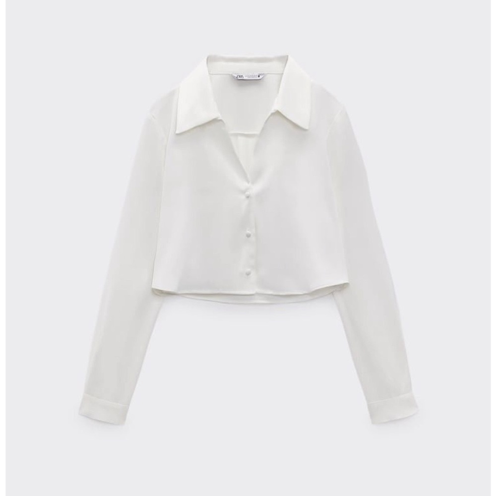 Zara silky gorgeous cropped top